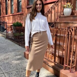 The Group by Babaton Johan Skirt, size M